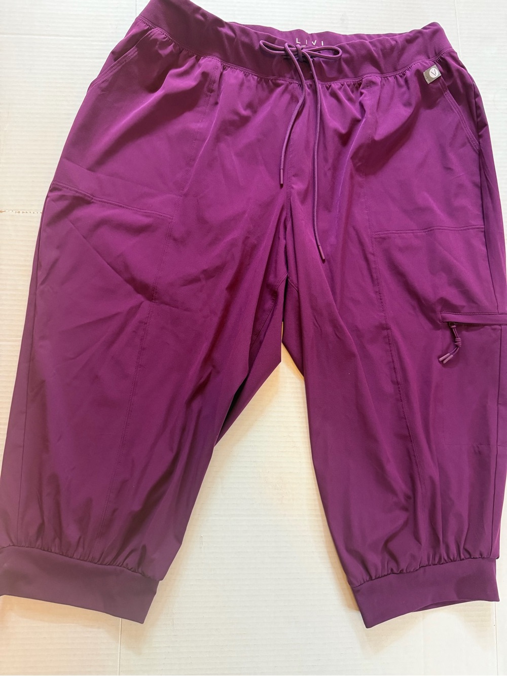 LIVI Lane Bryant Plum Cargo Jogger Pants 18 20